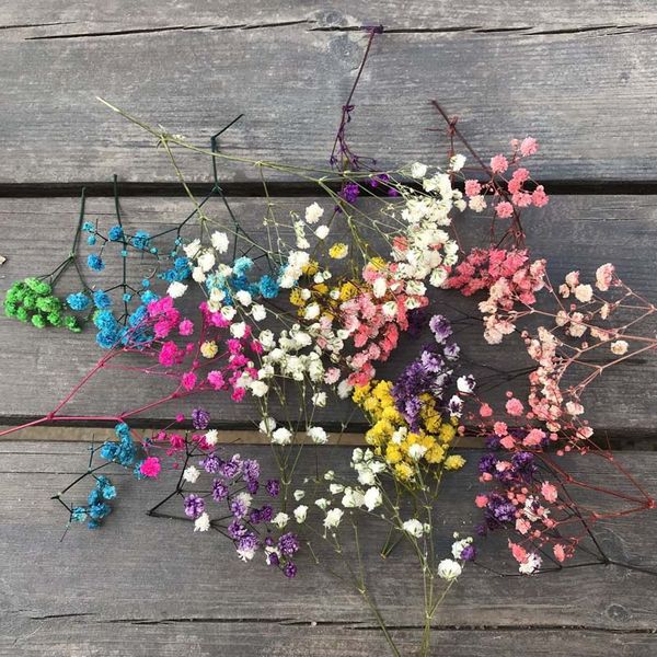 

10g natural fresh dried preserved flowers gypsophila,real forever baby's breath flower heads,diy candle flower material,jeweller