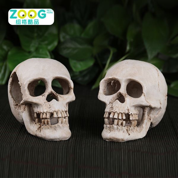 

group lattice major crawler animal articles crawler avoid cave pets cave