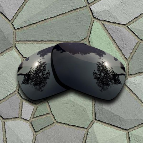 

grey black sunglasses polarized replacement lenses for inmate