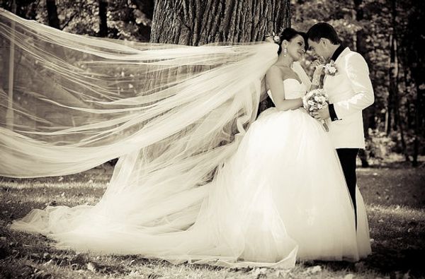 

gripping white ivory champagne red black purple pink two-tier wedding veil fashional cut edge 128 inches length bridal veil