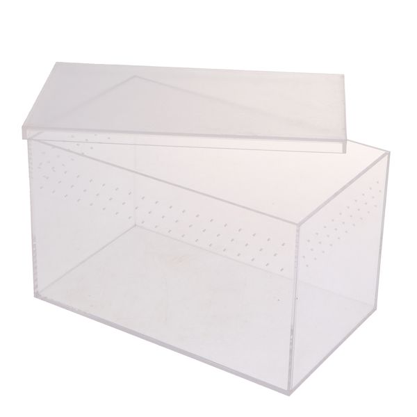 

рептилия насекомых заводчик box case транспорт кормление вылупления tank акрил