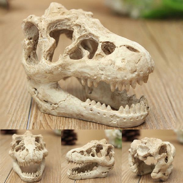 

resin dinosaur skull pet aquarium fish tank landscape simulation head bone terrarium reptile decoration ornament hide cave