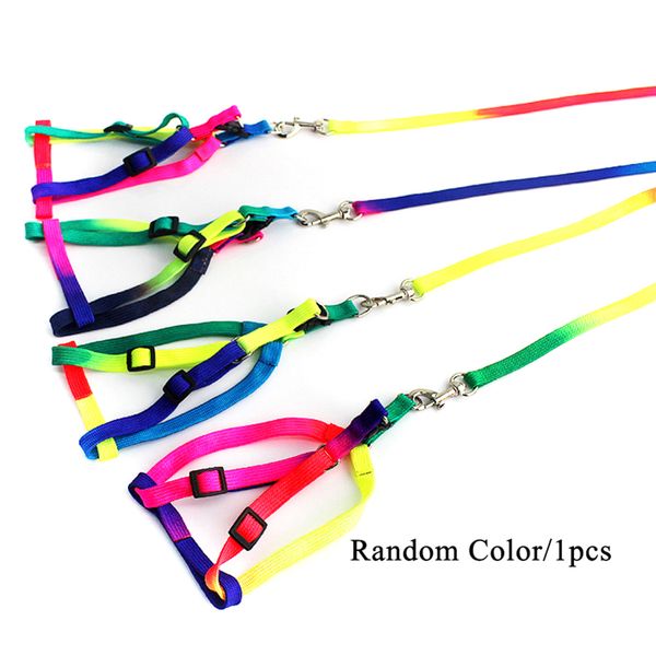 

durable nylon colorful rainbow pet dog collar harness leash soft walking harness lead 2019 adjustable outdoor dog supplies 120cm