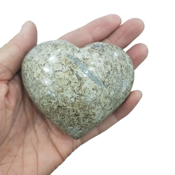 fossilized dinosaur heart