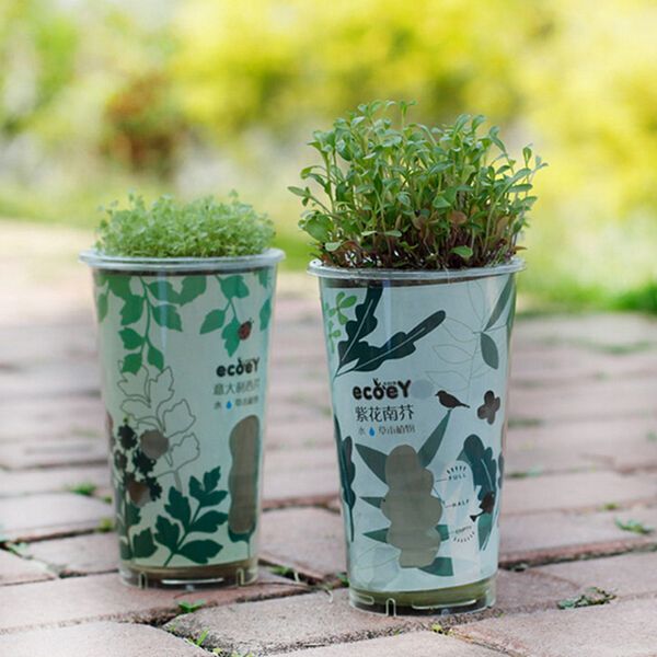 

diy mini ceramic carbon boll auto water absorption grass potted plant deskoffice decor
