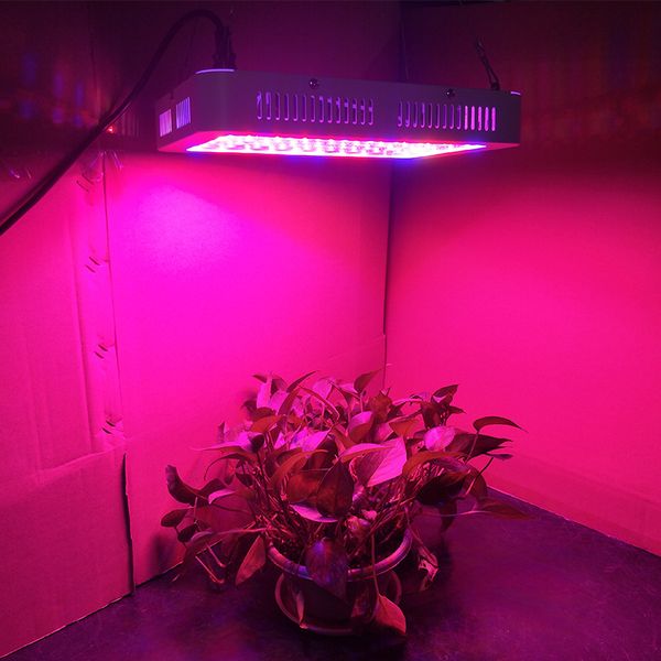 

600w 1000w 1200w led grow light recommeded high cost-effective double chips full spectrum led grow lights for hydroponic systems