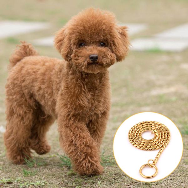 

dog snake p choke chain dog metal show collars for dogs #xjsy