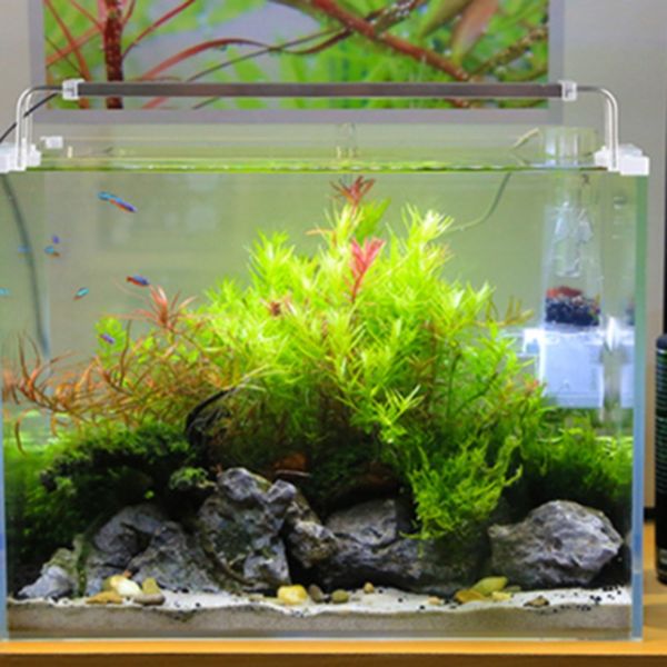 

220 ade серии аквариум светодиодное освещение 14w led накладные fish tank aquatic завод сид растет свет 6500-7500k сша штепсельной вилки дру