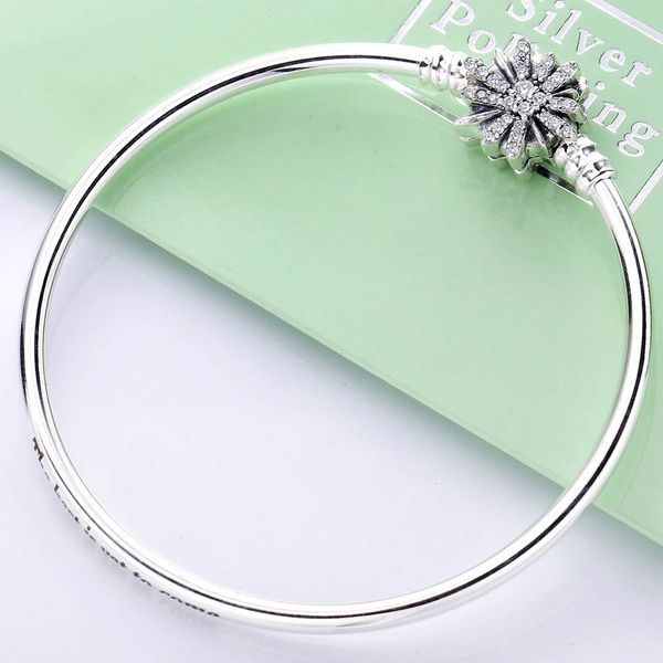 

sparkling bright star wonderful world park castlel clasp bracelet fit europe snake bangle 925 sterling silver diy bead charm, Black
