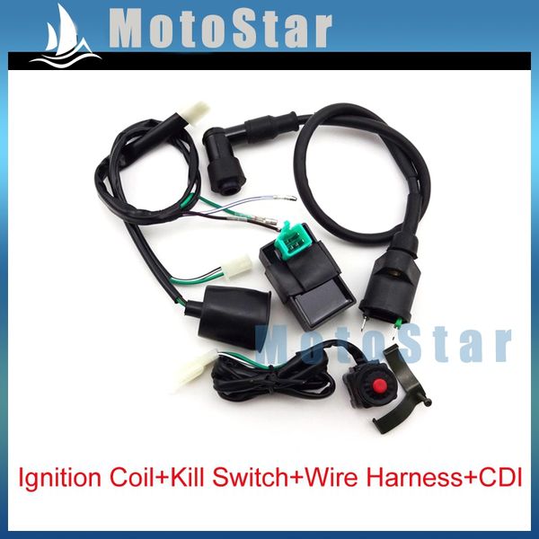 

wiring loom harness + kill switch + ignition coil ac cdi for 50cc 70cc 90cc 110cc 125cc 140cc 150 160cc chinese pit dirt bike