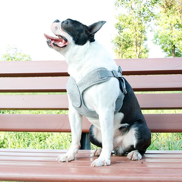 

dogs chest strap reflectors chains strings dog collars dog-friendly vests traction rope pets 899