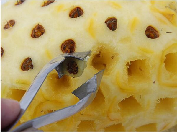 

new 2 type of stainless steel cutter pineapple eye peeler pineapple seed remover clip home kitchen tools knife fruit tools
