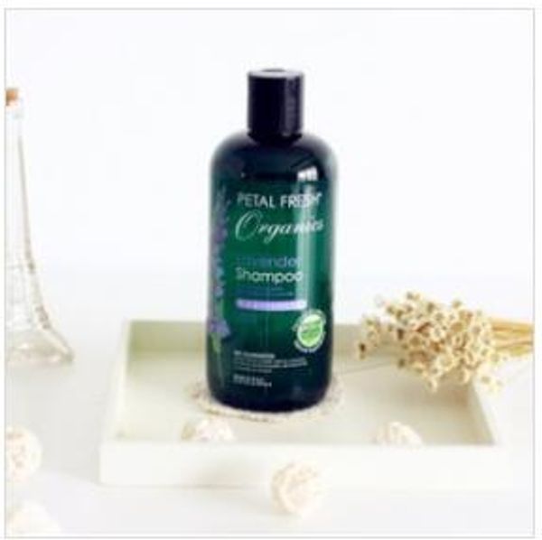 

cam cam для ванной - бутылка обскуры hd-камера dvr 16 гб (движение активировано