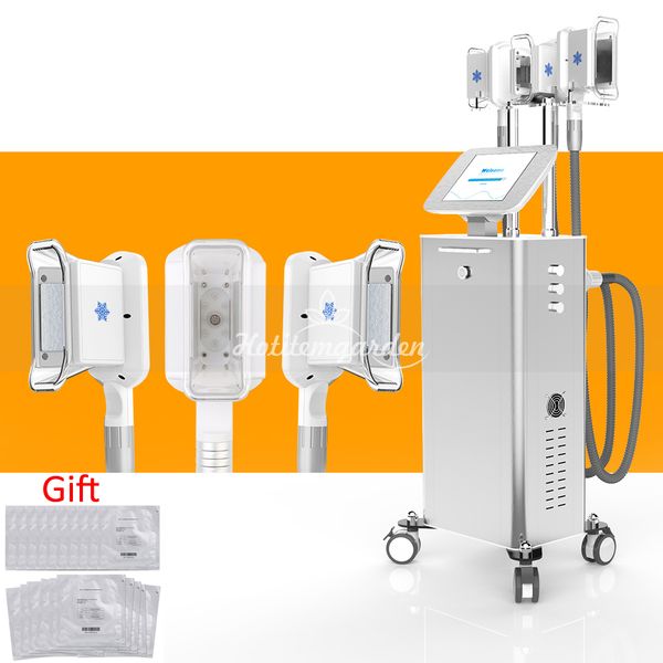 

professional 3 handles vacuum cold cool system fat e ing weight loss slimming body shaping machine