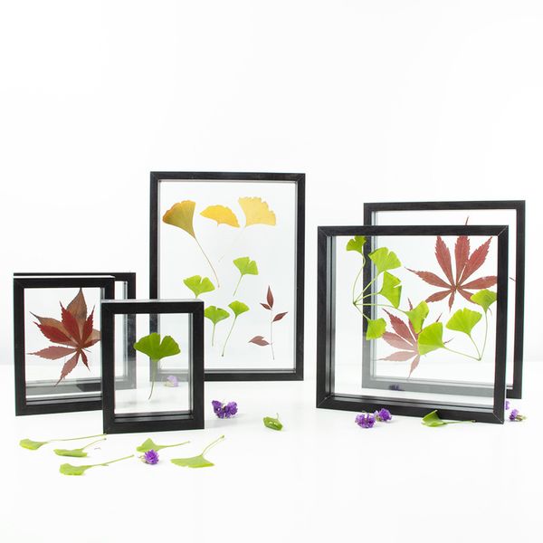 

european style plant dried flower leaves specimen box square a4 paper-cut diy frame double-sided glass frame deskornaments