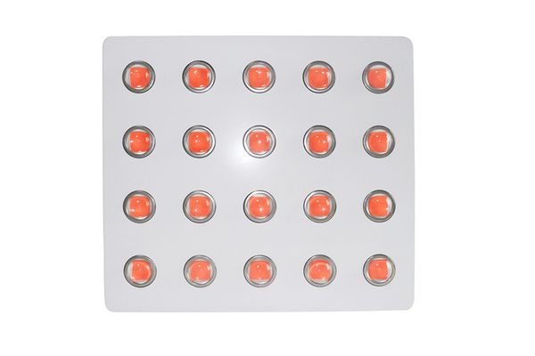 

2019 new arrivals factory whosale 1000 watt led full spectrum hydroponic 2000w cob led grow light