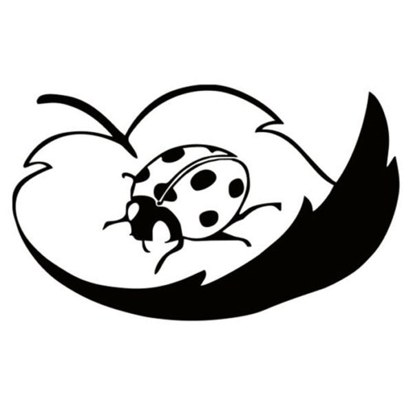 

15*9.1cm ladybug vinyl decal sticker funny car window bumper novelty jdm drift vinyl decal sticker car sticker