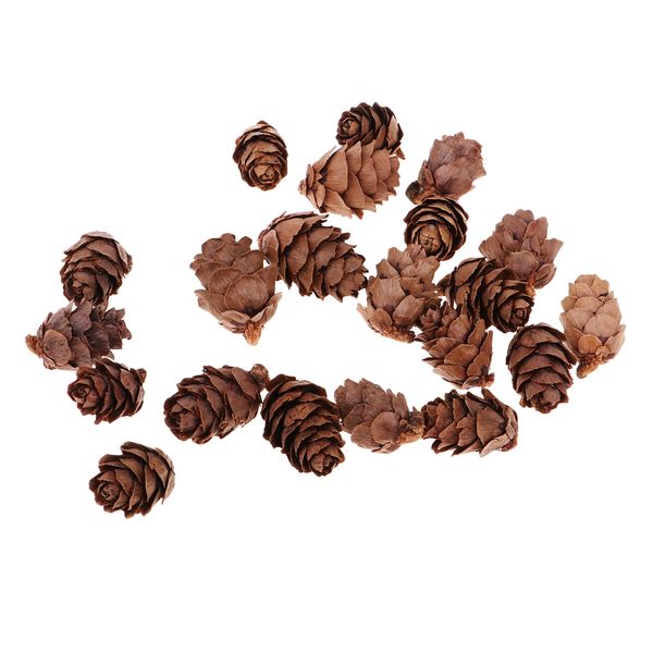 

50 pieces mini decorative pinecone pine cones for vase bowl filler displays crafts home christmas table decoration 20mm