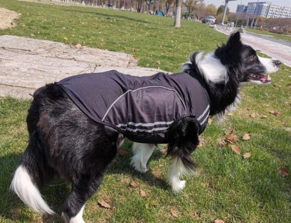 

hight quality new spring/summer thin dog clothing reflective anti-wool sunscreen breathable mesh pet clothing pet clothing xs-2xl size