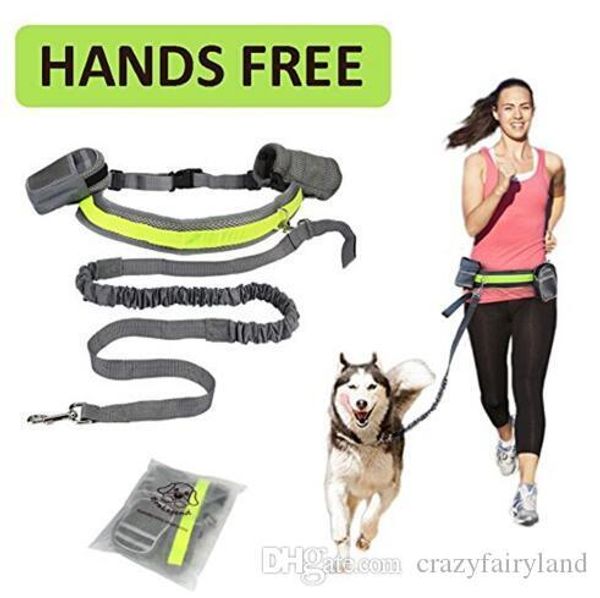 

pet dog leash hands cat running jogging padded waist belt reflective strip elastic leash perfect walking training dog leash set