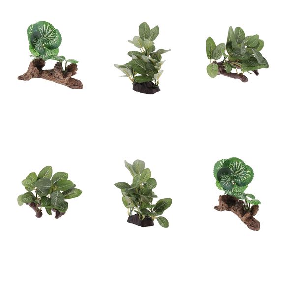 

reptile plants bearded dragons,,geckos,snake reptile habitat 6 pack