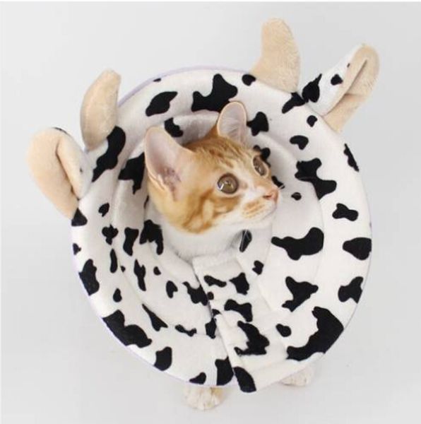 

2019 sales wholesales cow recovery elizabethan collar pet anti-biting ring collars protective wound