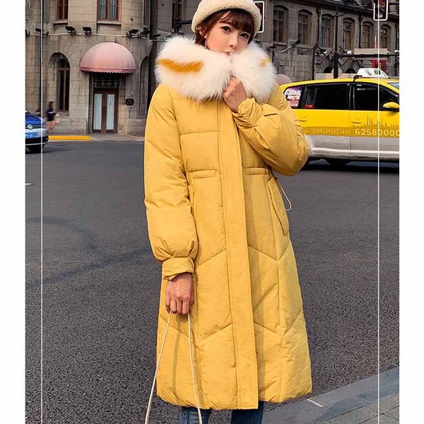 

heydress 2019 winter hooded women casual down coat ladies fur collar zippers long down coat female warm soild jacket, Black;brown