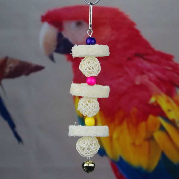 

will middle and small size parrot bites retinervus luffae fructus hand catch gnaw toys swing climb the ladder a molar tooth string