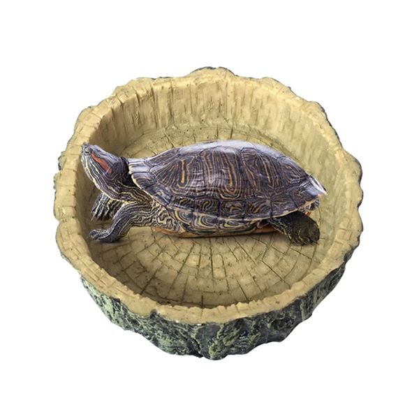 

resin pet reptile feeder bowl non-toxic food water pot washbasin reptile turtle tortoise scorpion lizard crabs pets supplies