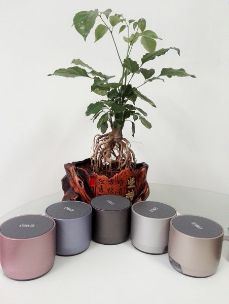 

розничное самое лучшее сабвуфера, рынок самый популярный малый стальной диктор 2019 пушки самый лучший bluetooth миниый с качеством звука ex