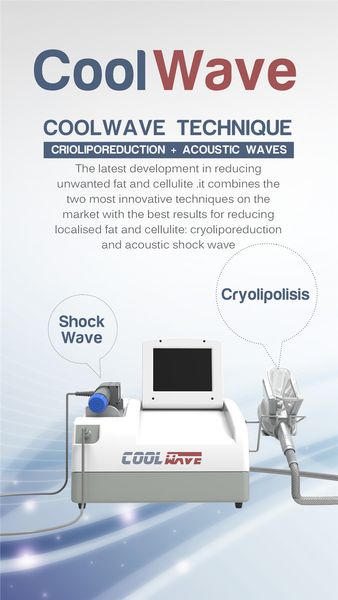 

home use fat ing cryolipolysis slimming beauty mahcine with physical eswt ed shock wave therapy machine