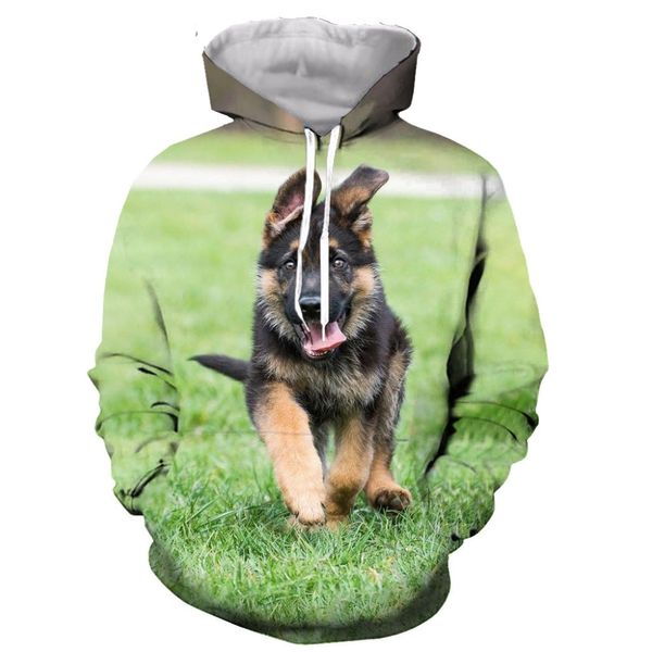 

german shepherd dog cute dogs hoodie men/women 3d print hoodies sweatshirts casual harajuku style streetwear, Black