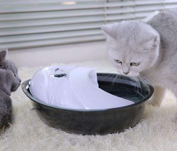 

cat water dispenser pet fountain pet drinker bowl dog drinking dispenser