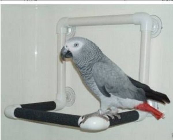

tuba parrot stand bar bird stand frame parrot toys parrot take a shower shower stand frame take a shower articles 309g