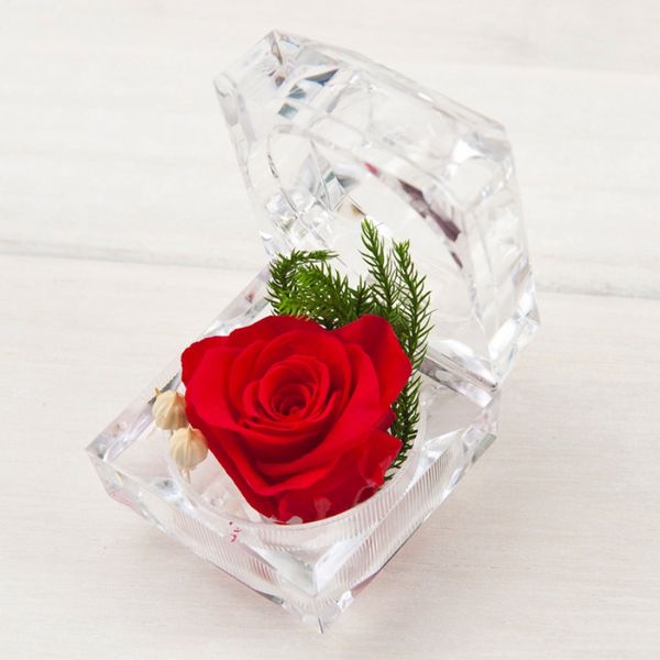 

red rose ring box delicate everlasting flower christmas valentine's day gift birthday gift