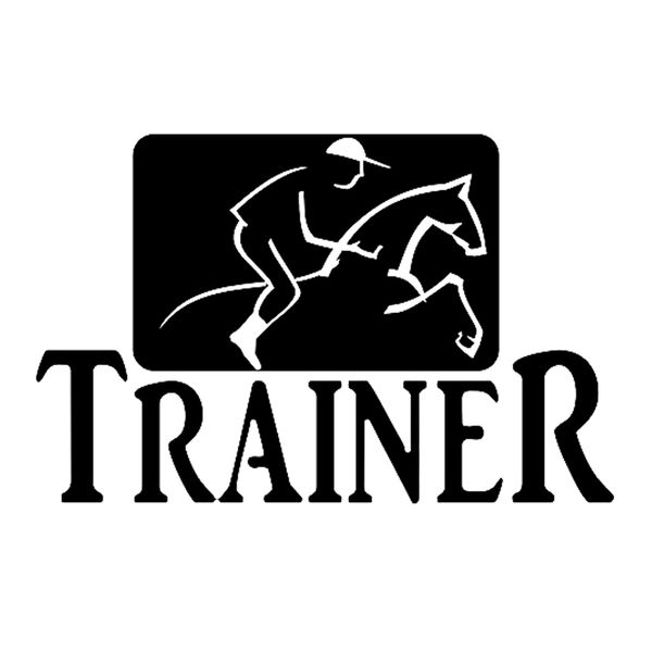 

15 * 9.6cm веѬова ѬенеѬ веѬовой езд икеѬ меной окна авомобил бампеѬ новизн