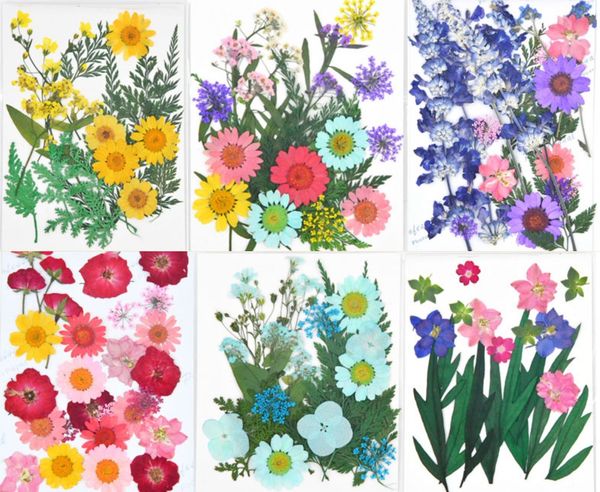 1set 22 pcs misturado misturado flower pressionado + folhas Herbário de plantas para jóias cartão postal photo quadro caso fazendo diy