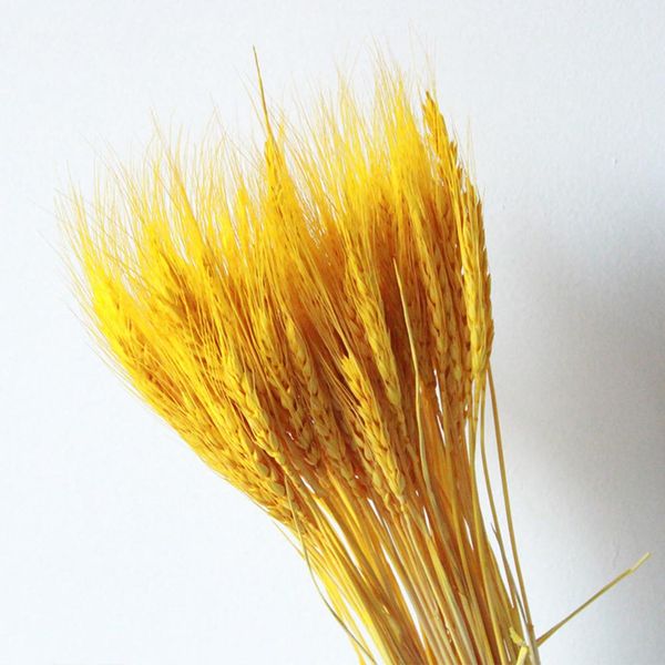 

50pcs bouquet artificial wheat ears dried flowers home decoration party branch wedding craft diy scrapbook centerpieces grain