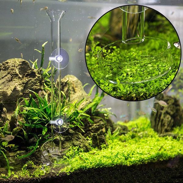 

acrylic shrimp feeding tray fish food feeder aquarium fish tank feeding tube
