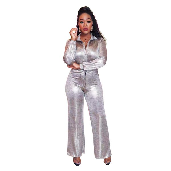 long sleeve silver jumpsuit