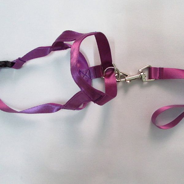 

2019 new nylon dogs head collar gentle halter leash leader dog training muzzle adjustable pet pulling training nose reigns