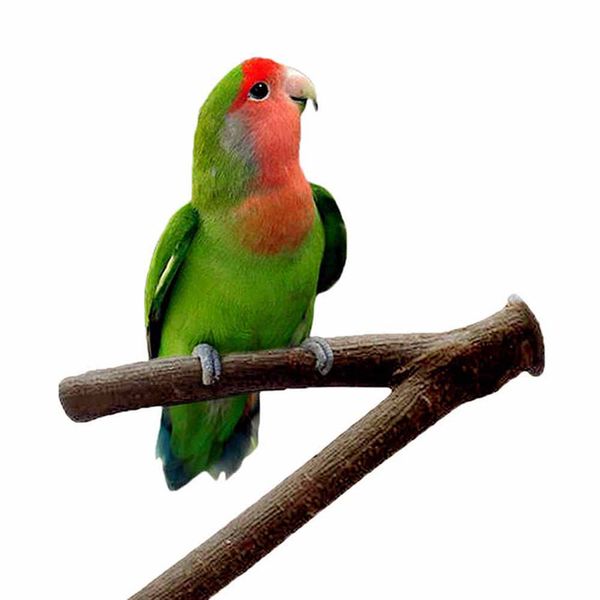

rack raw wood pet supply standing branch parrot perches fork bird cage diy chew toys