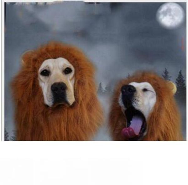 

гѬђппа pet игѬђки ллођин ђкѬаени дл воло поглади ком коки ллођин од