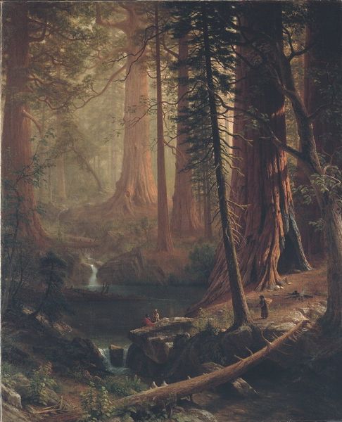 

Albert Bierstadt Giant Redwood Trees Of California Home Decor Handcrafts /HD Print Oil Painting On Canvas Wall Art Canvas Pictures 191111