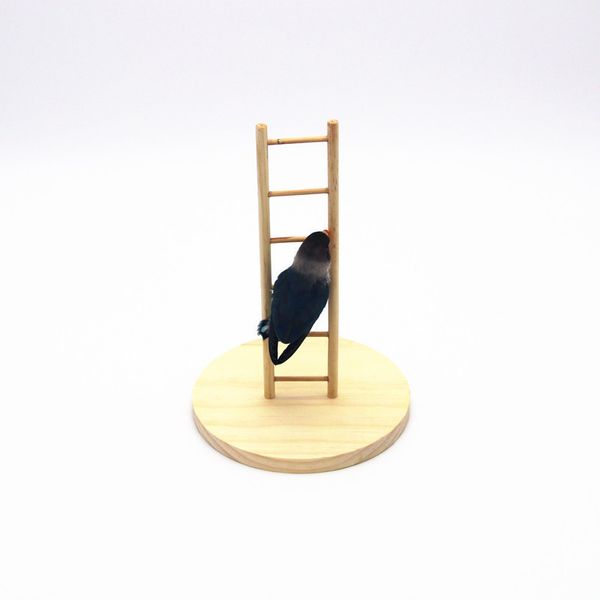

hamster toys swing hammock parrot gnaw toys bird toys stand bar training ladder bird climb the ladder