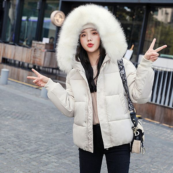 

5 colors ladies faux fur hooded short puffer jacket 2019 new fashion parka casual loose winter jacket women warm bubble coat, Tan;black