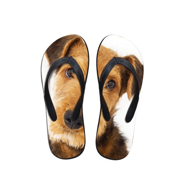 

2019 summer beach new flip flops airedale terrier creative print fashion casual for women girls slippers sandals flats shoes, Black