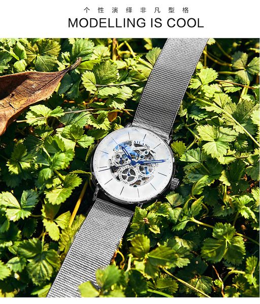 

genuine brand ai lang watch men's mechanical watch automatic hollow waterproof trend fashion, Slivery;brown
