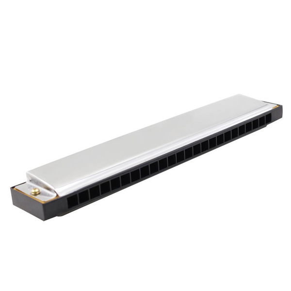 

24-hole mouth organ c key harmonica mini musical instrument w/ case