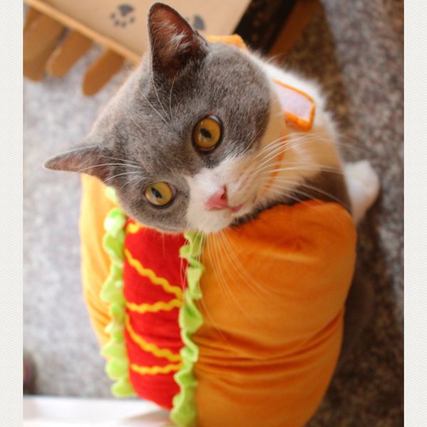 

mpk pet costumes] pet dog and cat costume, cute og sandwich costume, funny dog clothes, cat costume